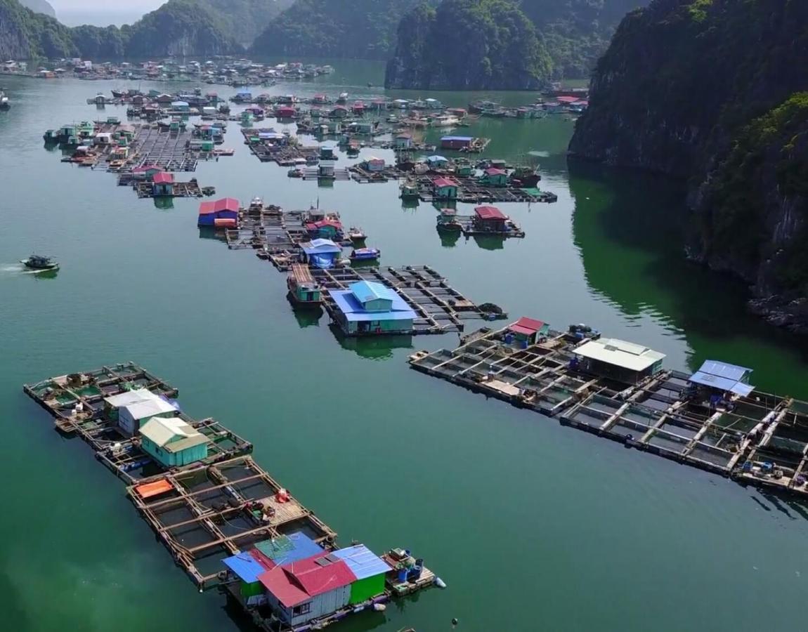 Cat Ba Thailand Hotel Dong Khe Sau Exteriér fotografie
